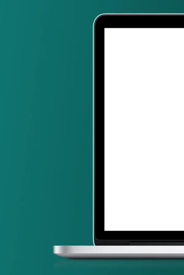 Web Tasarımı